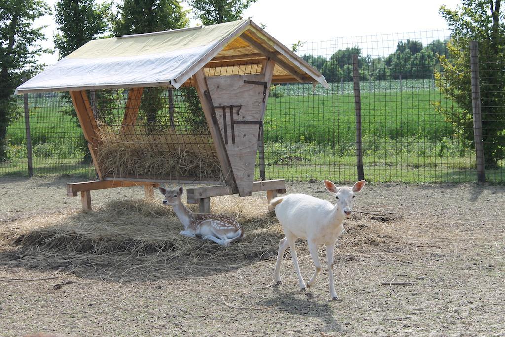 Agriturismo Nonna Rina San Liberale ภายนอก รูปภาพ