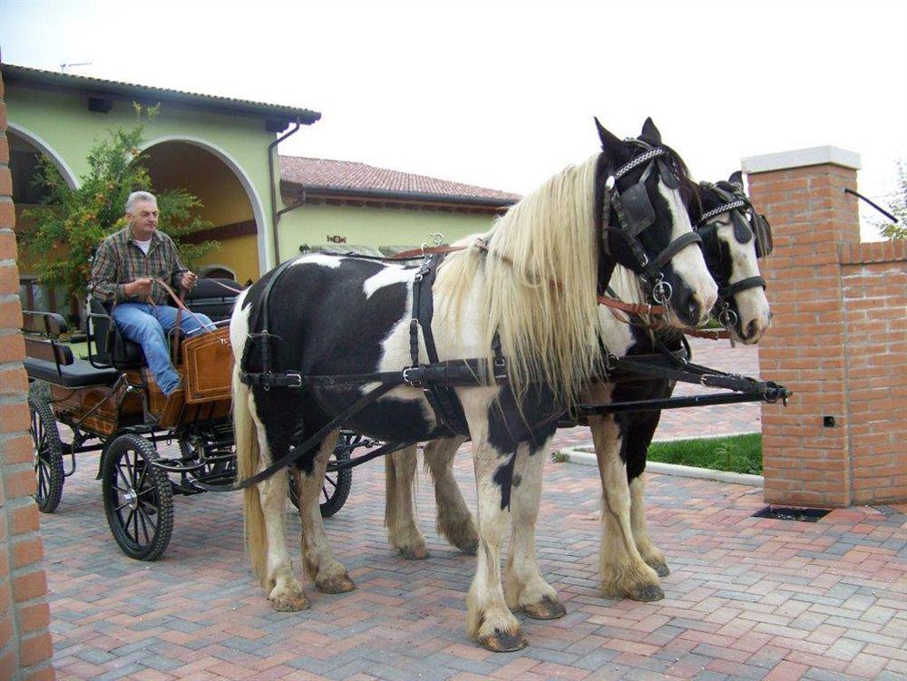 Agriturismo Nonna Rina San Liberale ภายนอก รูปภาพ