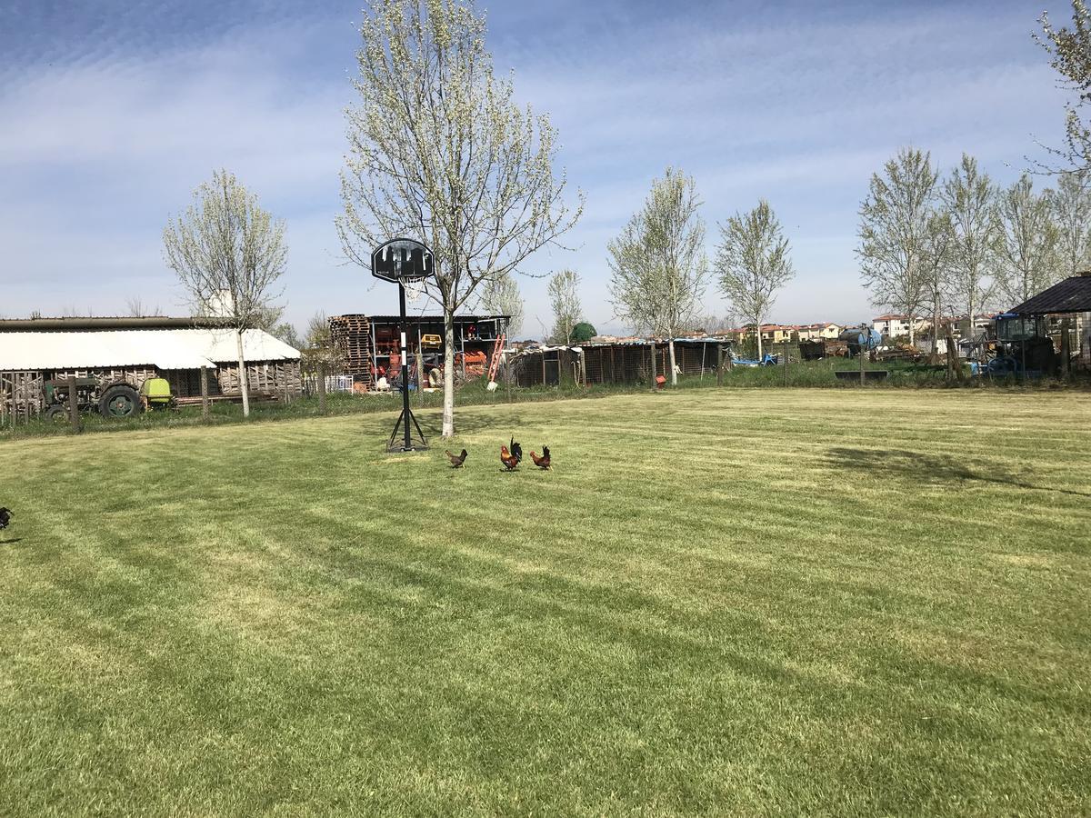 Agriturismo Nonna Rina San Liberale ภายนอก รูปภาพ
