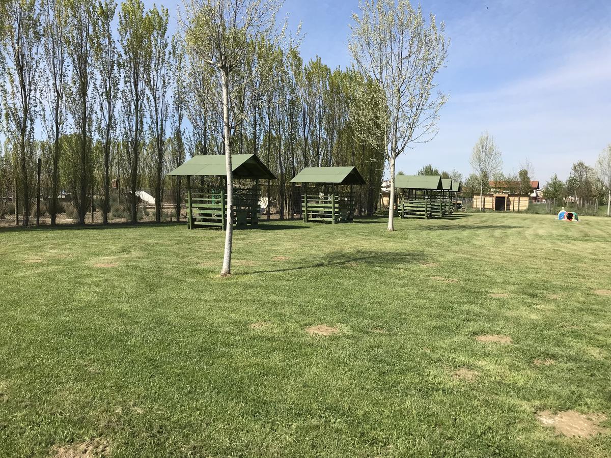 Agriturismo Nonna Rina San Liberale ภายนอก รูปภาพ