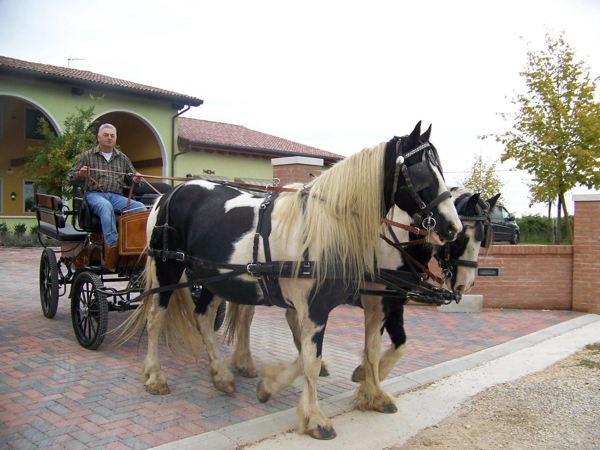 Agriturismo Nonna Rina San Liberale ภายนอก รูปภาพ